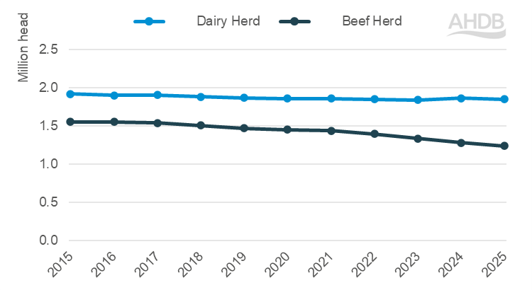 Line graph showing UK cattle population